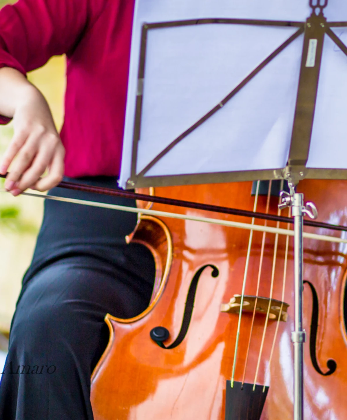 Matinées musicales avec la HEM