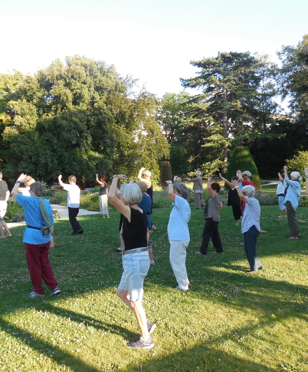 Yoga et taiji