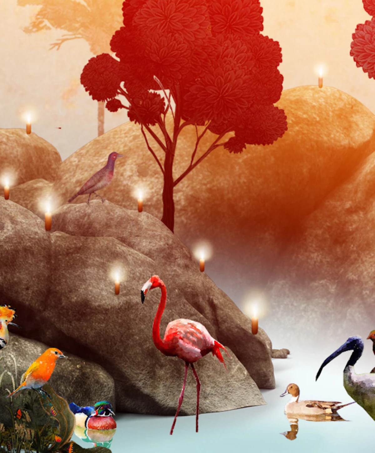 LE VOYAGE DES OISEAUX