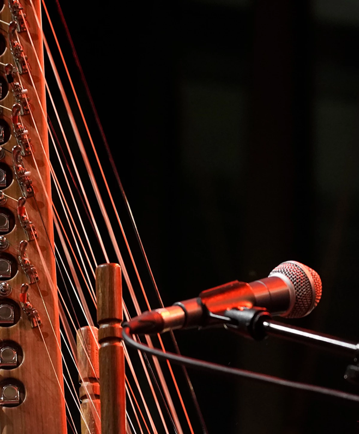 Concert de Senny Camara