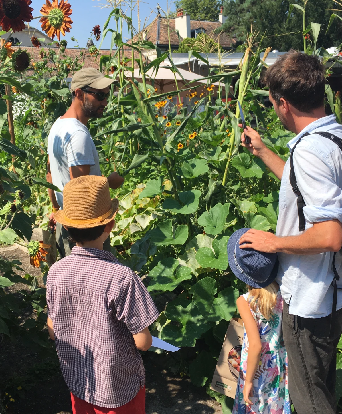 Rencontre au Potager: Récolte