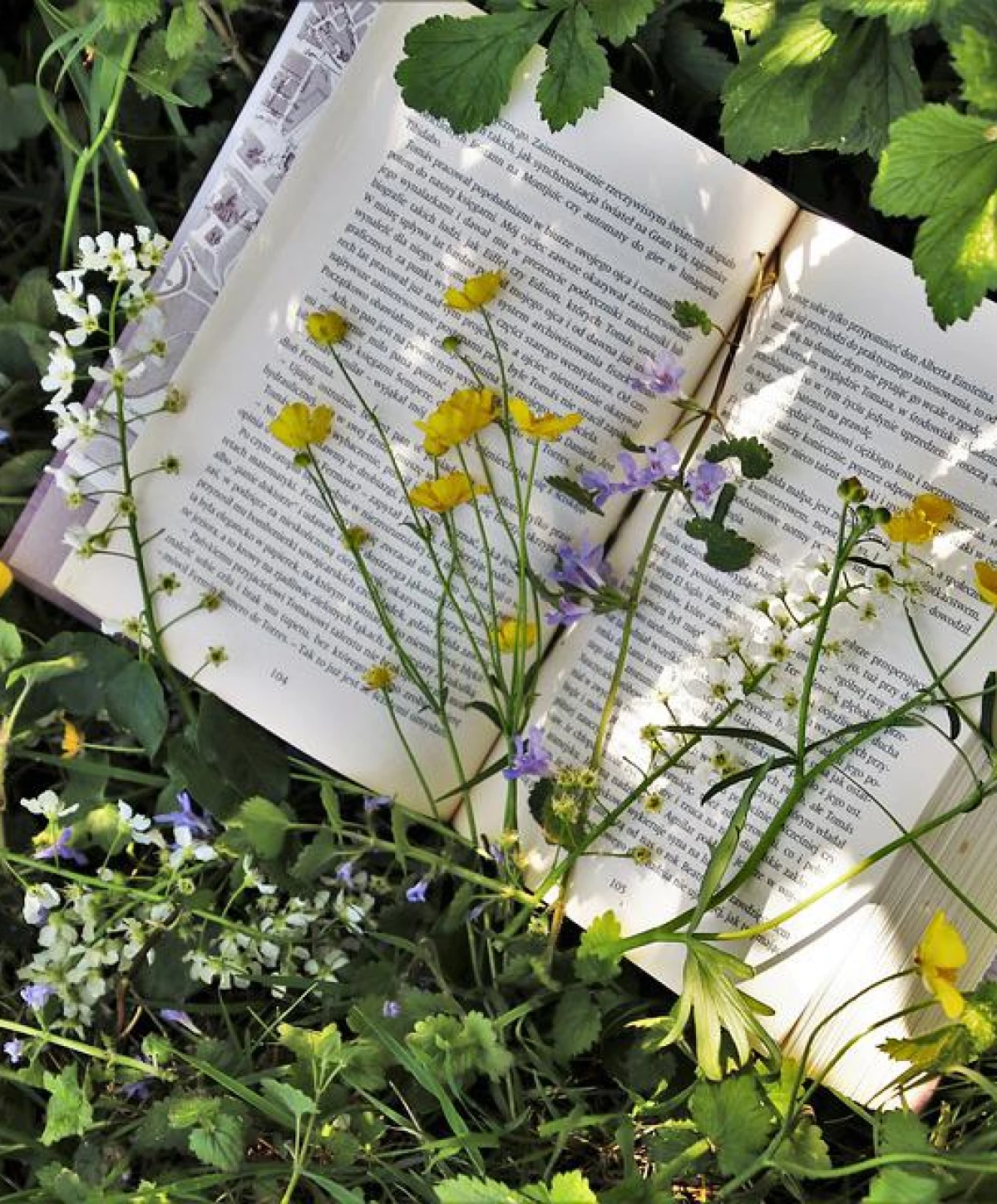 Contempler entre Essences et Lettres (écriture poétique)