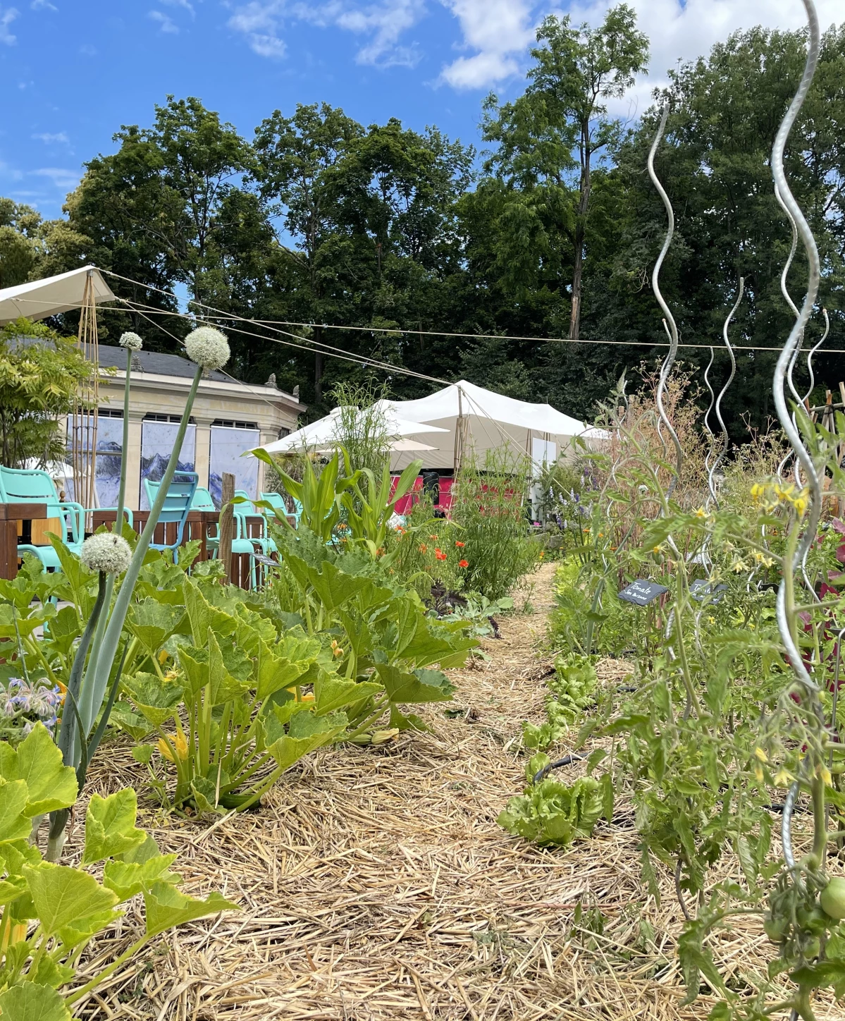Rencontre au Potager : Planifier ses cultures