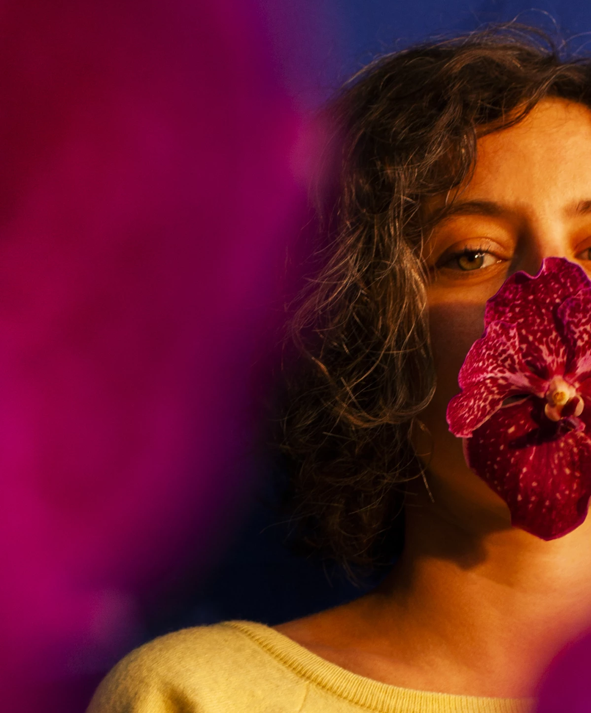 De la sexualité des Orchidées