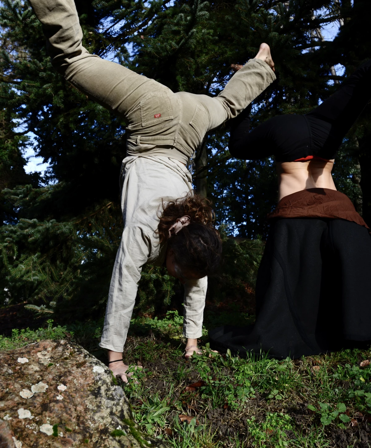 Acrobaties À Deux Et Animaux De La Forêt