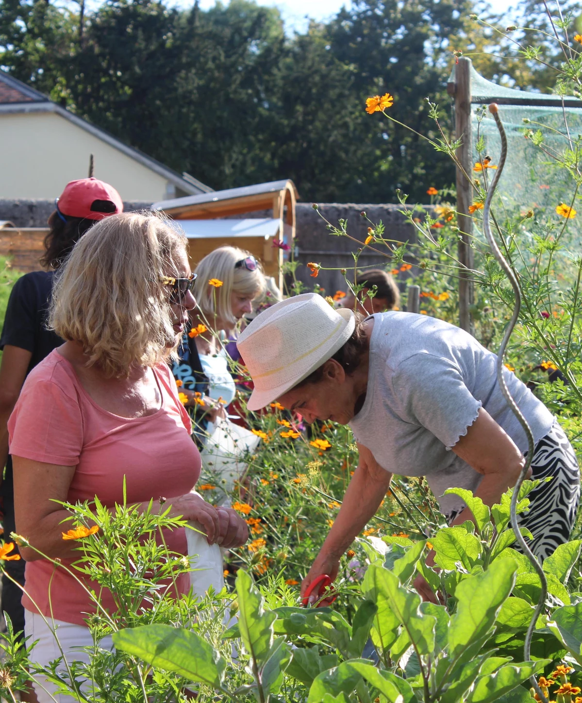 Rencontre au potager : 