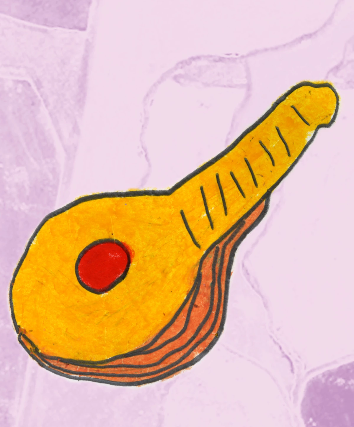 LE TO! FÊTE LA MUSIQUE